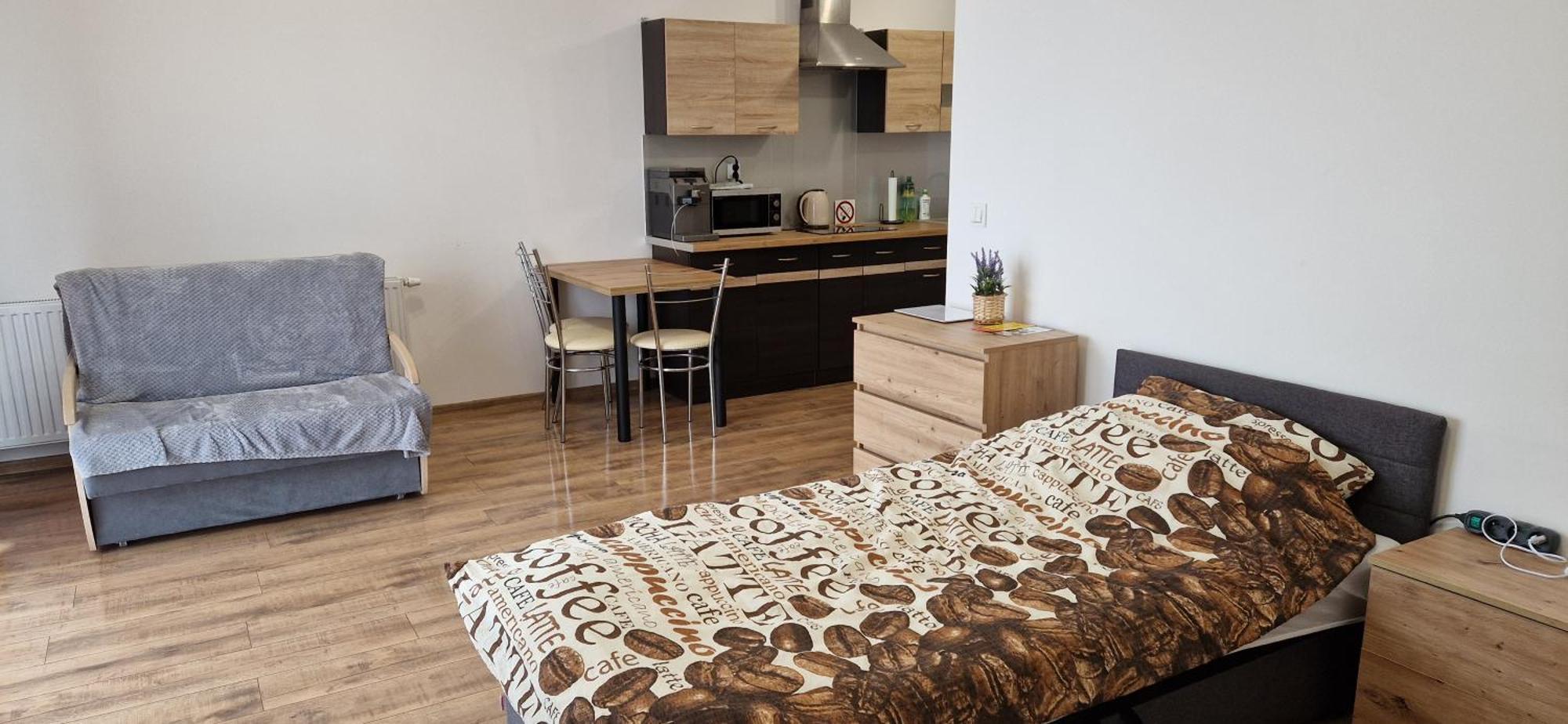 Apartament Sloneczny كوسترزين ناد أودري المظهر الخارجي الصورة